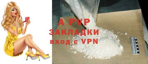 прущие грибы Арсеньев