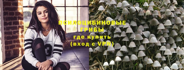 прущие грибы Арсеньев
