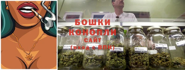 прущие грибы Арсеньев