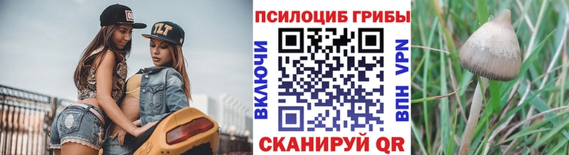 darknet клад наркота Тутаев Галлюциногенные грибы MAGIC MUSHROOMS